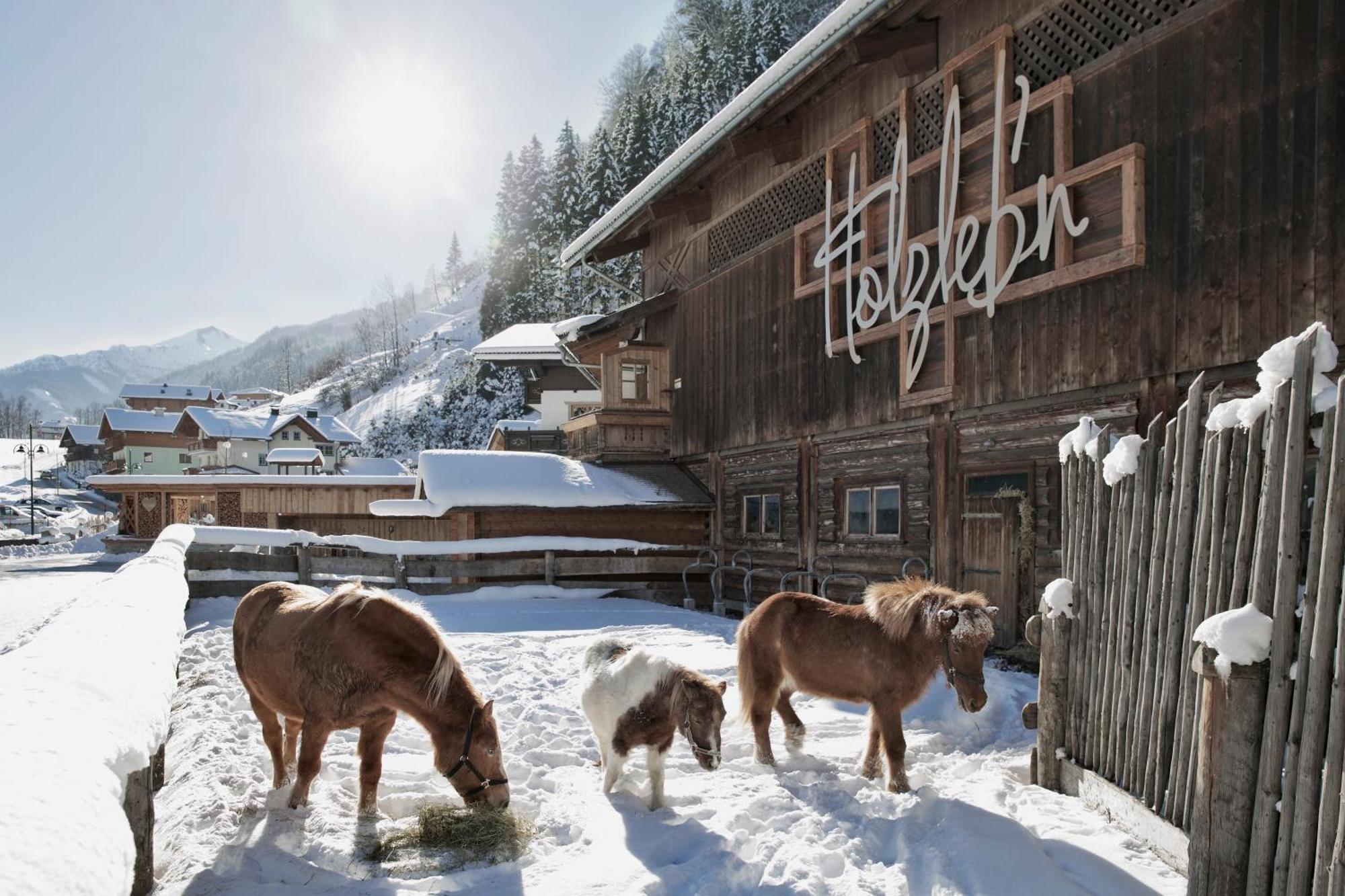 Feriendorf Holzlebn กรอสซาร์ล ภายนอก รูปภาพ