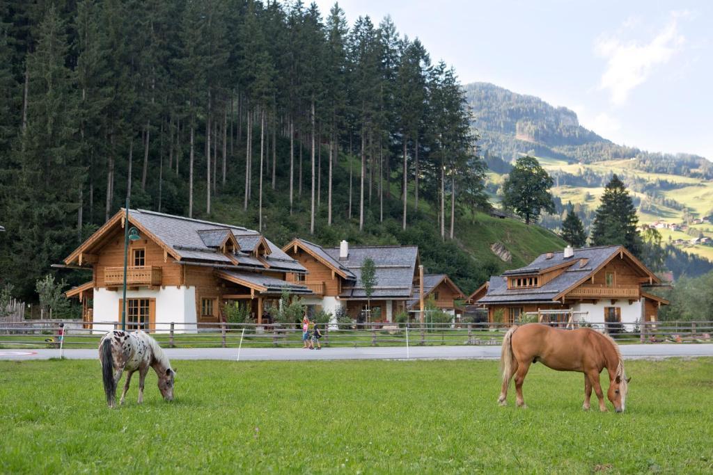 Feriendorf Holzlebn กรอสซาร์ล ภายนอก รูปภาพ
